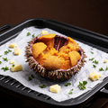 Premium Fresh Sea Urchin Roe | Sashimi & Grilling Grade Luxury Seafood product image 1