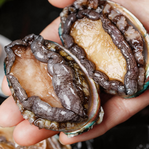 Premium Fresh Abalone | Tender Gourmet Seafood for Steaming & Braising product image 1