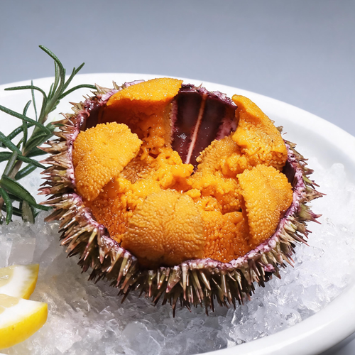 Premium Fresh Sea Urchin Roe | Sashimi & Grilling Grade Luxury Seafood product image 2